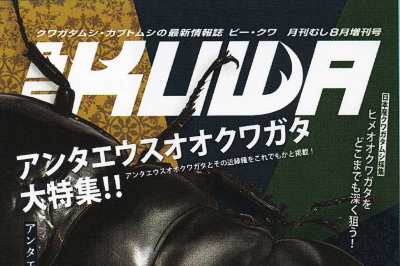BE・KUWA（ビー・クワ）96号★アンタエウスオオクワガタ大特集!!