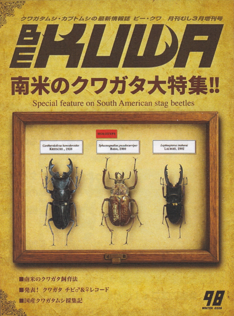 南米のクワガタ大特集!!