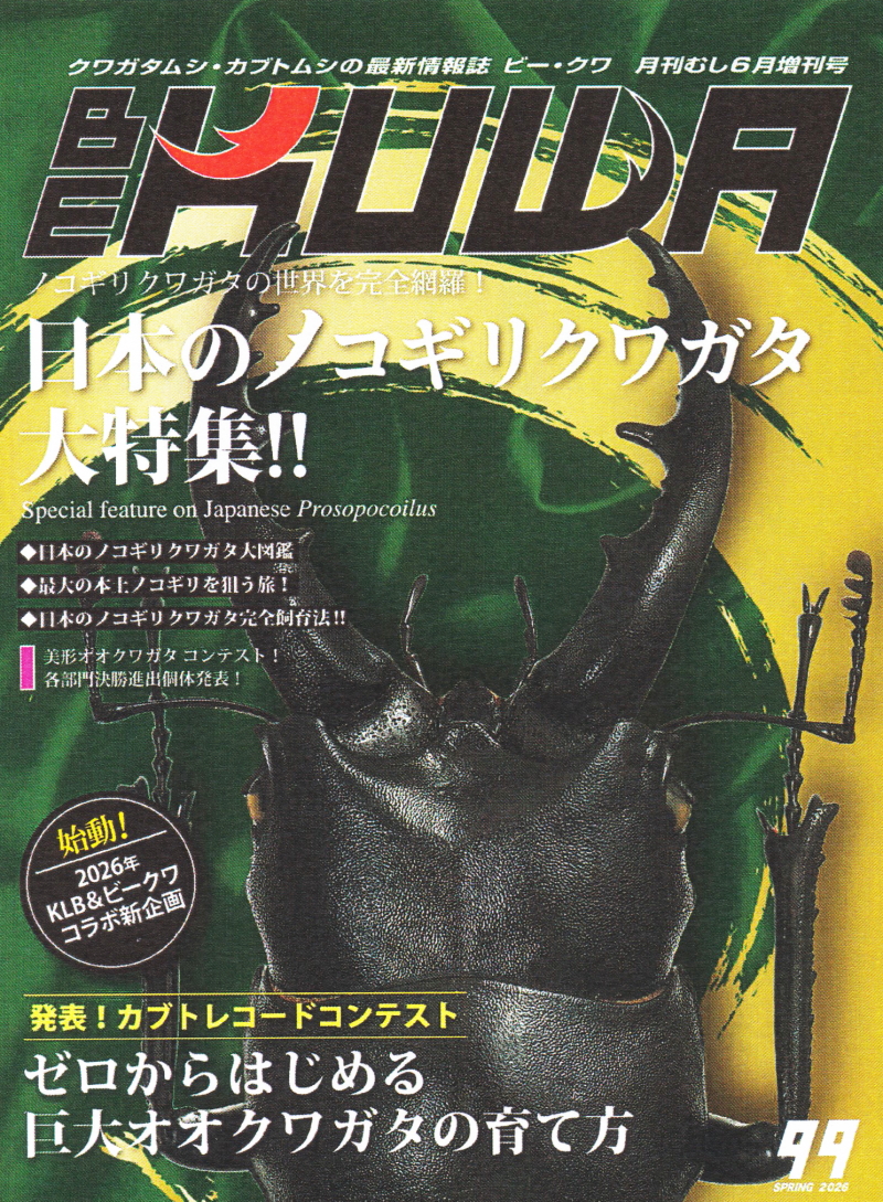 BE・KUWA（ビー・クワ）99号☆日本のノコギリクワガタ大特集