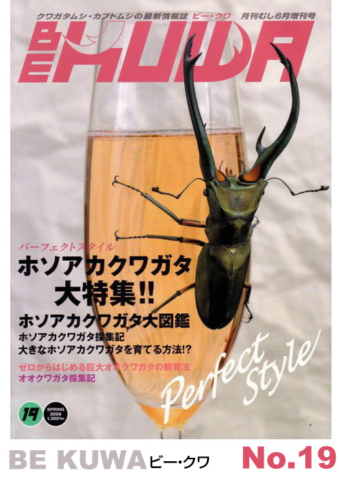 ビークワ BEKUWA 14冊セット クワガタ雑誌 むし社 BE・KUWA（ビークワ
