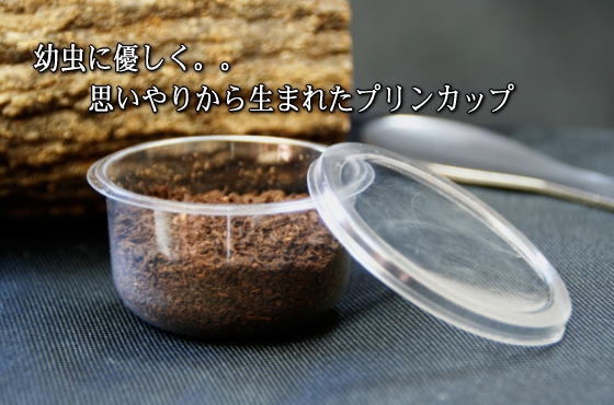 プリンカップ画像