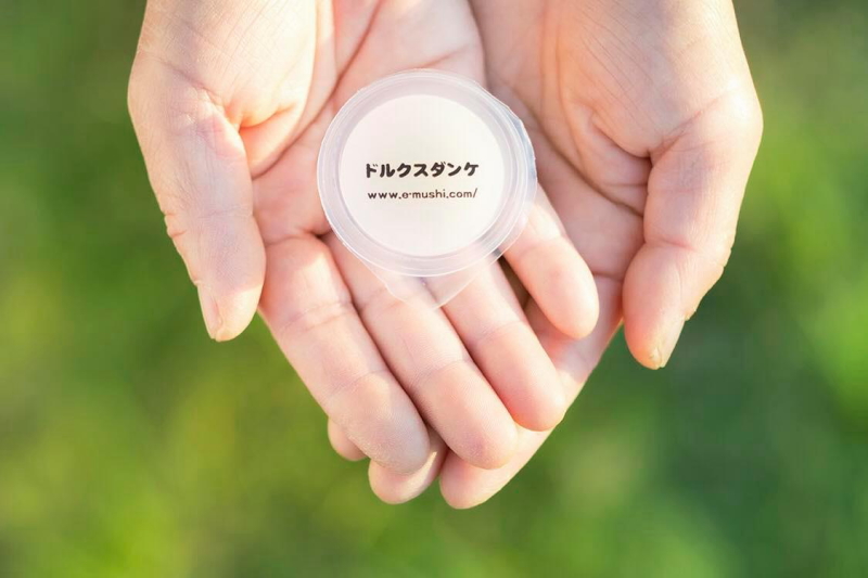 優しさを追求した昆虫ゼリー