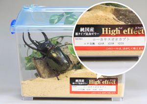 新タイプ 昆虫ゼリー High effec使用例