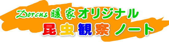 ドルクスダンケ　オリジナル　昆虫観察ノート