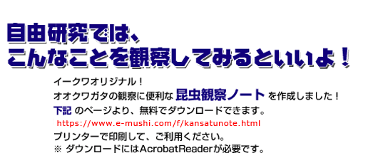 自由研究では、こんなことを観察してみるといいよ!