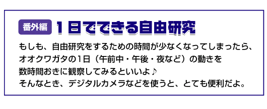１日でできる自由研究