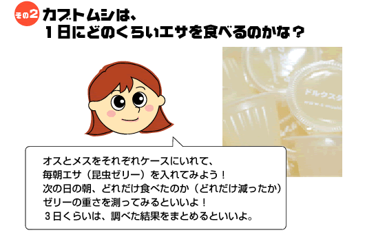 カブトムシは、１日にどのくらいエサを食べるのかな？