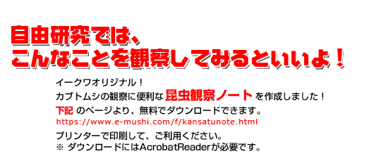 自由研究では、こんなことを観察してみるといいよ！