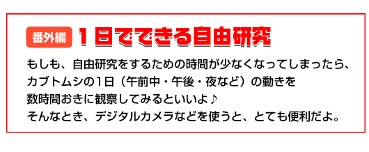 １日でできる自由研究