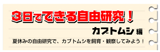3日でできる夏休み自由研究　カブトムシ編