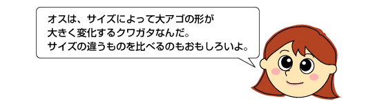 オスとメスでは、どこが違うかな？