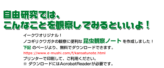 自由研究では、こんなことを観察してみるといいよ！