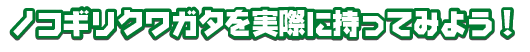 ノコギリクワガタを実際に持ってみよう！