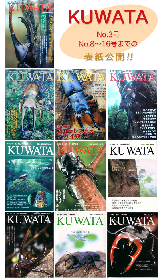 KUWATA 3号/8~16号