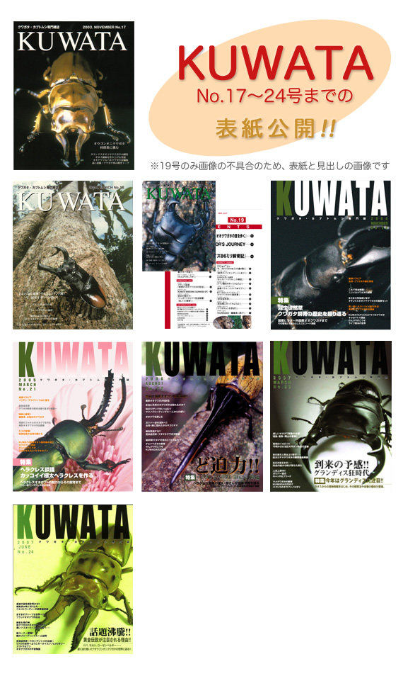 KUWATA 17~24号