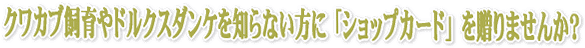 ドルクスダンケを知らない方にショップカードを送りませんか?