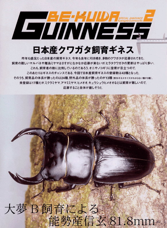 大夢Bによる飼育ギネス個体がBE-kuwa(むし社)No.5に掲載