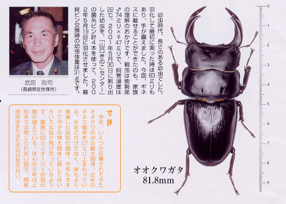 大夢Ｂ　菌糸瓶の実績