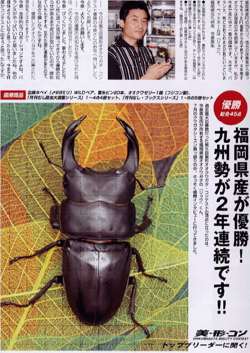 大夢Ｂ　菌糸瓶の実績