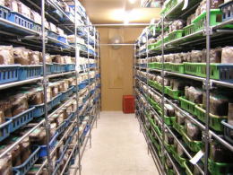 大夢Bプロスペック 菌糸ビンの製造工場3