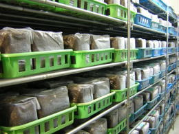 大夢Bプロスペック 菌糸ビンの製造工場4