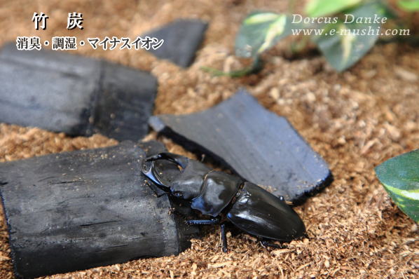 おすすめ商品画像