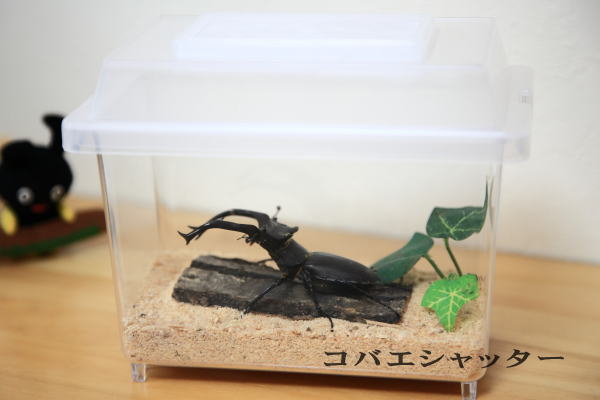 おすすめ商品画像