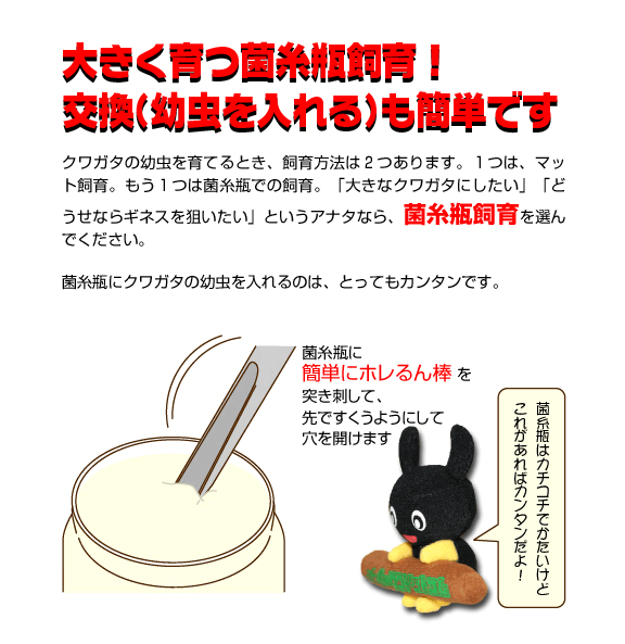 タイプG 菌糸瓶 11