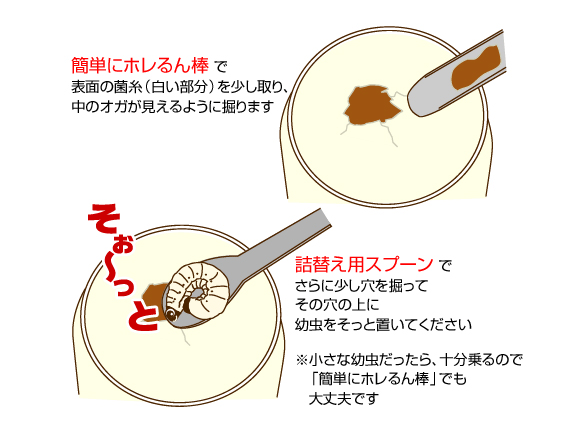 タイプG 菌糸瓶 8