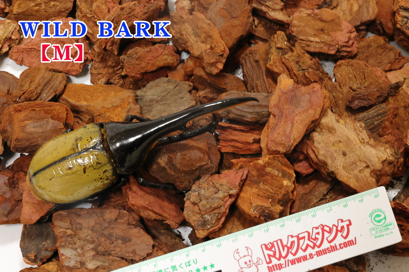 クワガタ カブトムシ 止まり木 バークチップ