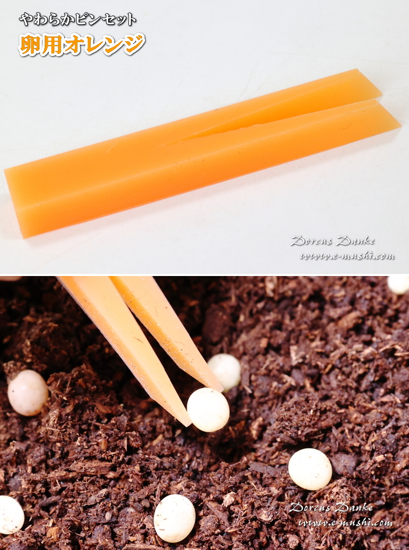 卵用ピンセット(オレンジ)