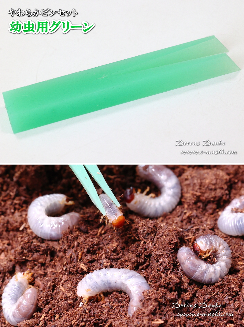 幼虫用ピンセット(緑)